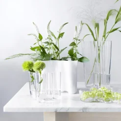 Aalto duo vase, clear