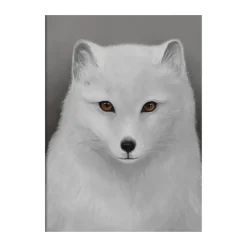 Arctic fox poster, 30x40 cm
