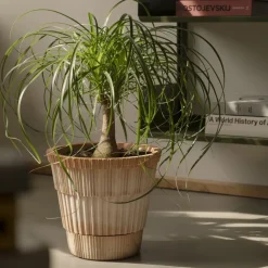 Atlas raw pot with saucer, Pink, Ø18 cm