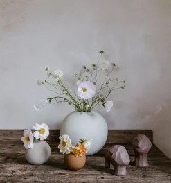 Ball vase shell, 8 cm