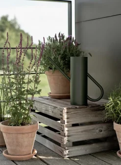 Bloom water jug 2 liter, Pine