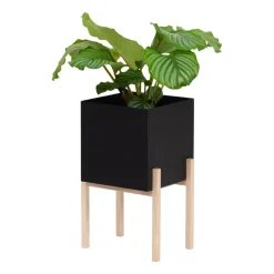 Botanic pedestal flower pot, Black-box