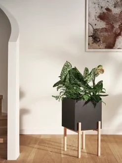 Botanic pedestal flower pot, Black-box