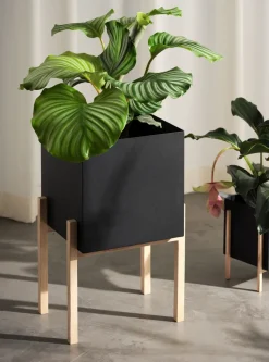 Botanic pedestal flower pot, Black-box