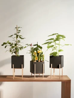 Botanic pedestal flower pot, Black-box