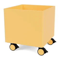 Colour Box I – S6161, Acacia