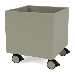 Colour Box I – S6161, Fennel