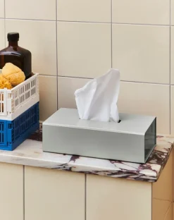 Colour Storage tissue box 24,5x13 cm, Grey