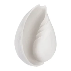 Conch decorative shell, Large