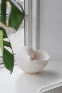 Conch decorative shell, Large