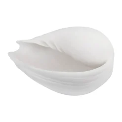 Conch decorative shell, Small