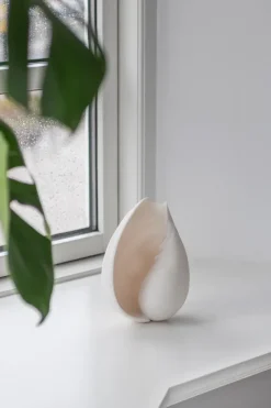 Conch decorative shell, Small