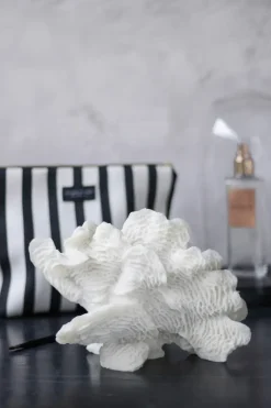 Coral fan, White