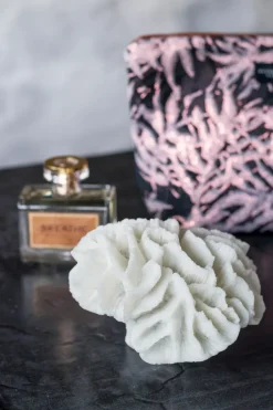 Coral gills, White