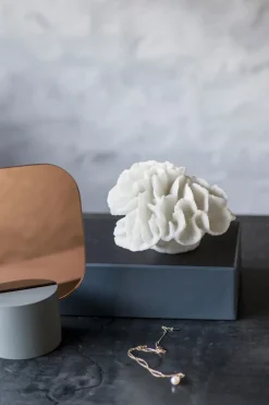 Coral gills, White