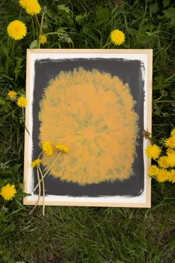 Dandelion poster 40x50 cm, Yellow-black