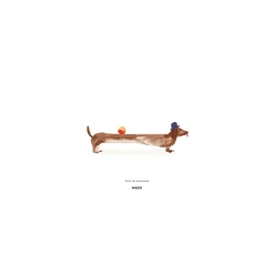 Doug the Dachshund poster, 30x40 cm