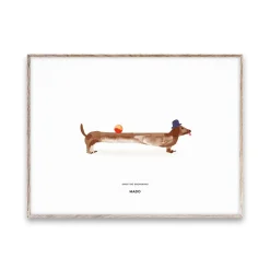 Doug the Dachshund poster, 30x40 cm