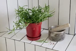 Elise herb pot Ø11 cm, Burgundy