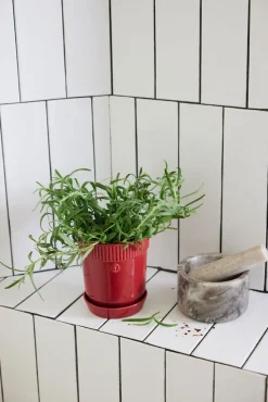 Elise herb pot Ø11 cm, Burgundy