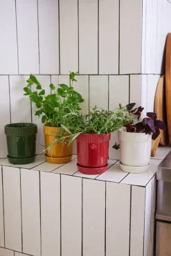 Elise herb pot Ø11 cm, Burgundy