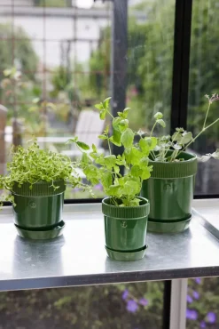 Elise herb pot Ø11 cm, Green
