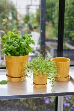 Elise herb pot Ø11 cm, Yellow