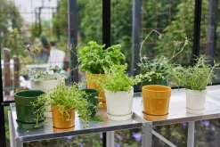 Elise herb pot Ø11 cm, Yellow