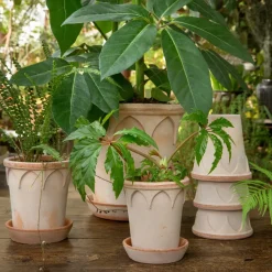 Elizabeth flower pot Ø14 cm, rose