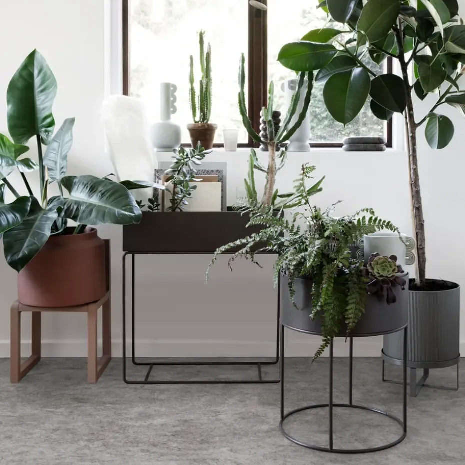 ferm LIVING plant box, black (black)