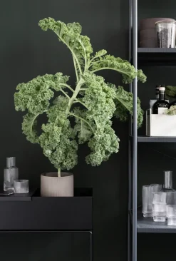 ferm LIVING plant box, black (black)