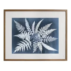 Fern star poster, 40x50 cm