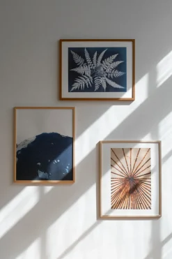 Fern star poster, 40x50 cm