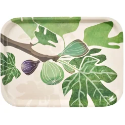 Figs tray 20x27 cm, multi