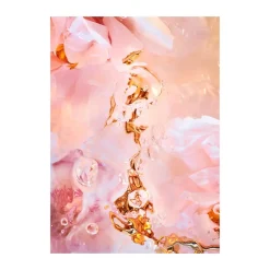 Flora Aquatica 02 poster, 50x70 cm