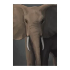 Forest elephant poster, 30x40 cm