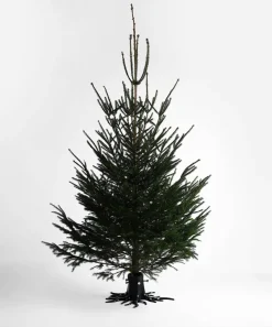 Garden Glory Christmas tree stand, Black matte