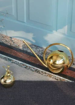 Globe plant sprayer, Gold
