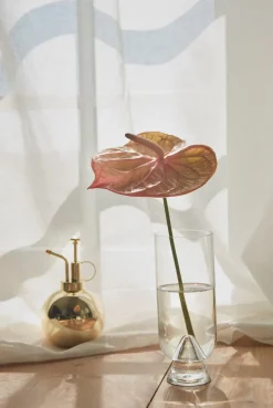 Globe plant sprayer, Gold