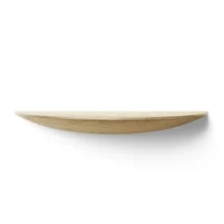 Gridy Fungi shelf oak, large