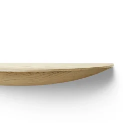 Gridy Fungi shelf oak, large