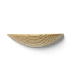 Gridy Fungi shelf oak, small