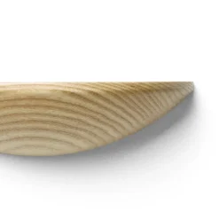 Gridy Fungi shelf oak, small