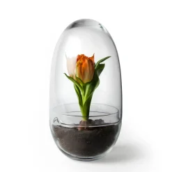 Grow greenhouse, Medium Ø11 cm
