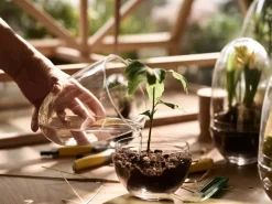 Grow greenhouse, small Ø8 cm