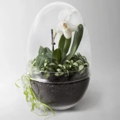 Grow greenhouse, x-large Ø20 cm