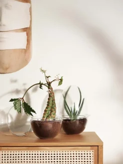Grow greenhouse, x-large Ø20 cm