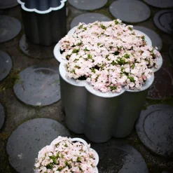 Gråsippa plant pot, Aluminum sand-casted, no. 3 Ø62 cm