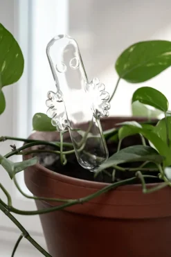 Hattifattener watering glass, Transparent