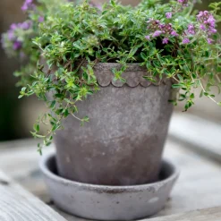 Helena flower pot Ø10 cm, grey